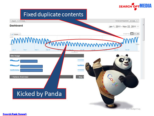 panda-duplicate-content