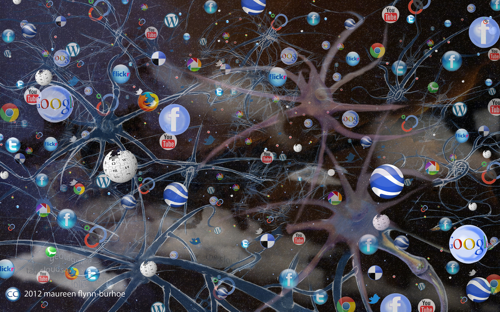 curation ecosystem