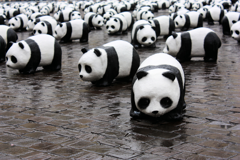 curation and Google Panda