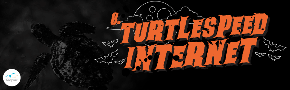 turtlespeed internet